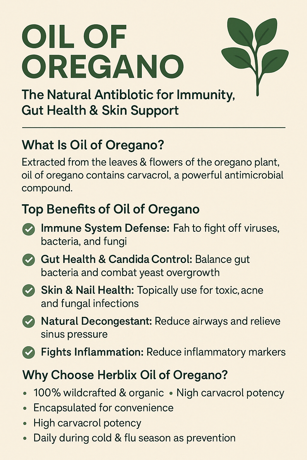 Oil of Oregano: The Natural Antibiotic for Immunity, Gut Health & Skin Support