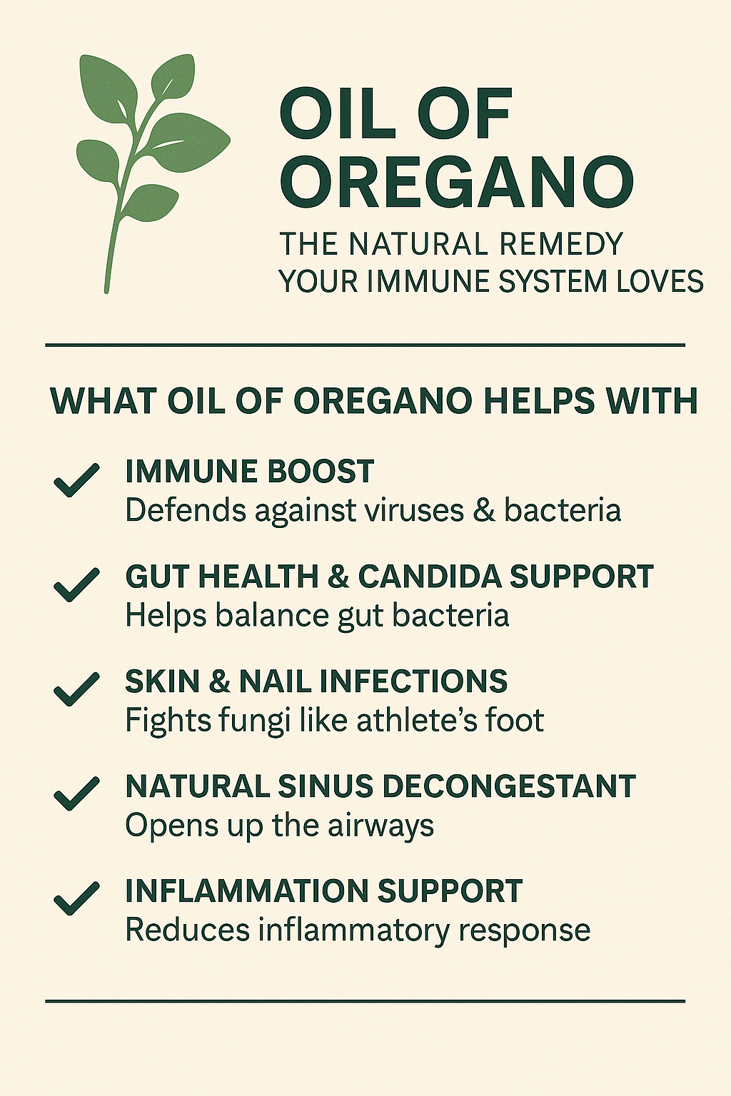 Oil of Oregano: The Natural Remedy Your Immune System Loves